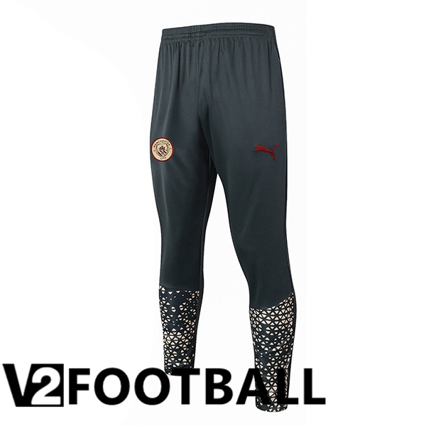 Manchester City Training Pants Grey 2024/2025