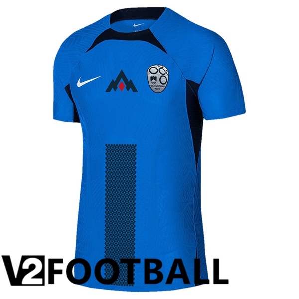 Slovenia Away Soccer Shirt 2024/2025
