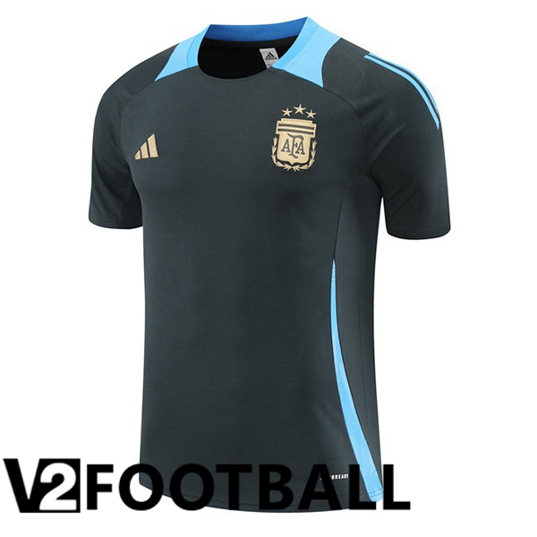 Argentina Training T Shirt Grey 2024/2025