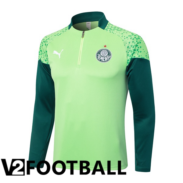 Palmeiras Training Sweatshirt Green 2024/2025
