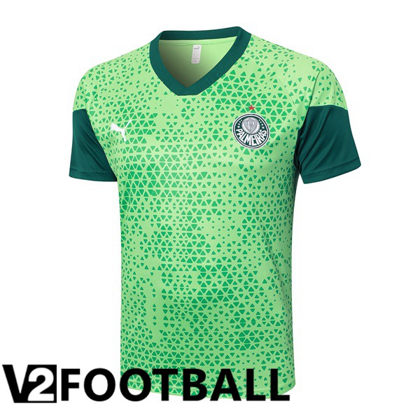 Palmeiras Training T Shirt Green 2024/2025