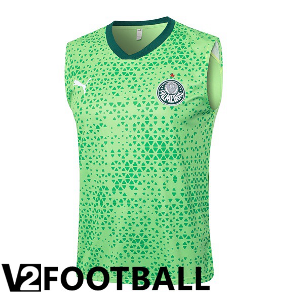 Palmeiras Soccer Vest Green 2024/2025