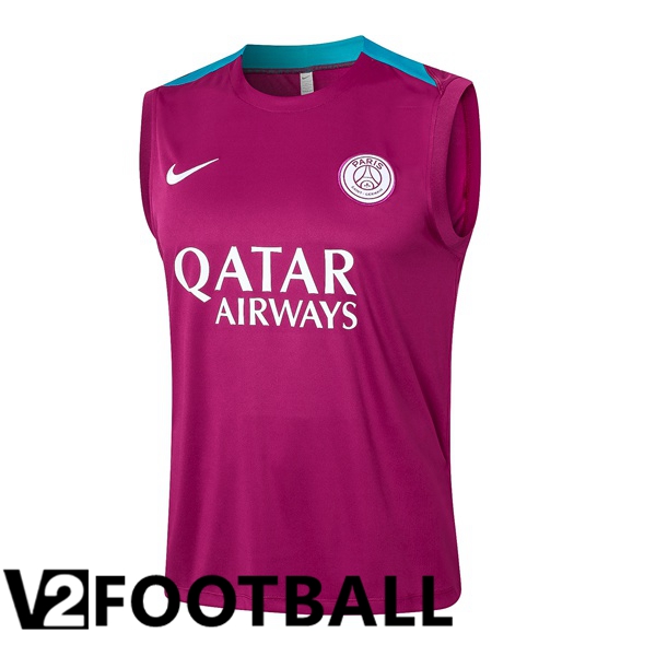 Paris PSG Soccer Vest Purple 2024/2025