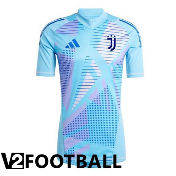 Juventus Goalkeeper Soccer Shirt Blue 2024/2025