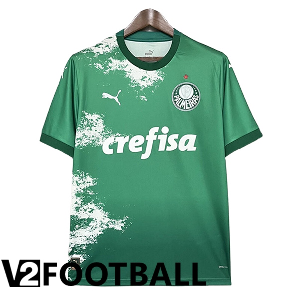 Palmeiras Soccer Shirt Special Edition Green 2024/2025