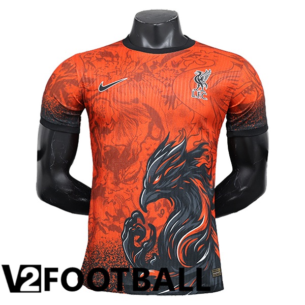 FC Liverpool Soccer Shirt Special Edition Red 2024/2025