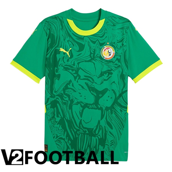 Sénégal Away New Soccer Shirt 2024/2025